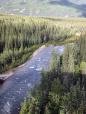 Train to Denali